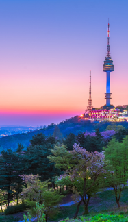 Introduction to Doing Business in Korea image
